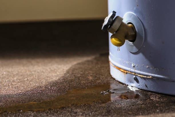  Wills Point, TX Water damage restoration Pros