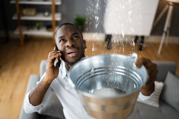 Best 24-hour water damage restoration  in Wills Point, TX