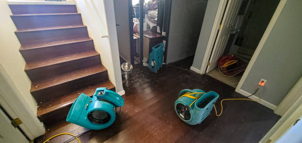 Best Water damage repair service  in Wills Point, TX