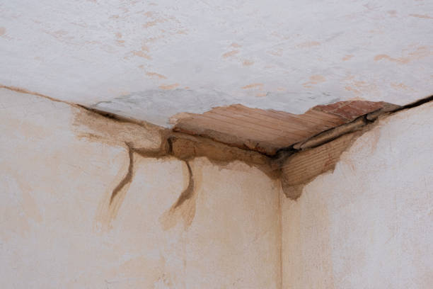  Wills Point, TX Water damage restoration Pros