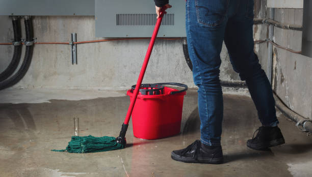 Best 24/7 water damage repair  in Wills Point, TX