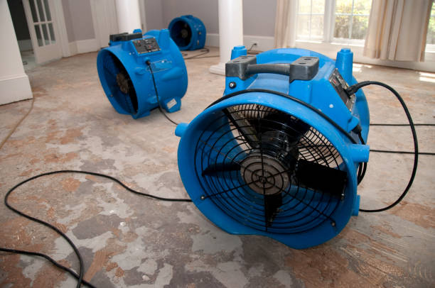 Best Ceiling water damage repair  in Wills Point, TX