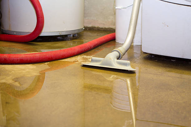 Best Ceiling water damage repair  in Wills Point, TX